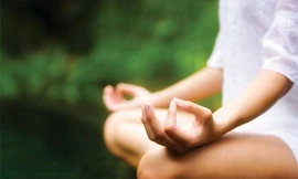 Ảnh minh hoạ: Internet