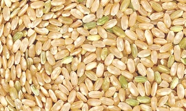 Ảnh minh hoạ: Internet