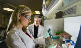 Ảnh minh hoạ: Internet