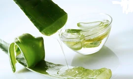 Ảnh minh hoạ: Internet