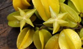 Ảnh minh hoạ: Internet