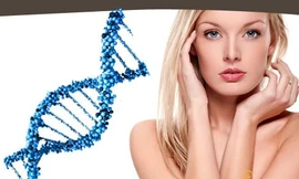 Ảnh minh họa: Internet