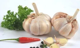 Ảnh minh họa: Internet