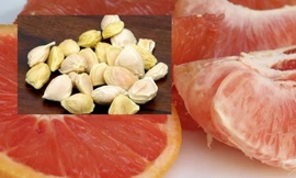 Ảnh minh hoạ: Internet