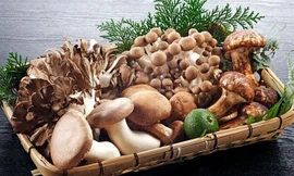 Ảnh minh hoạ: Internet