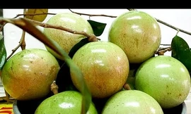 Ảnh minh hoạ: Internet