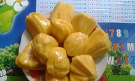 Ảnh minh hoạ: Internet