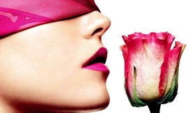 Ảnh minh hoạ: Internet