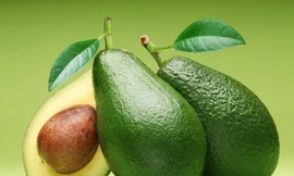 Ảnh minh hoạ: Internet