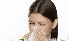 Ảnh minh hoạ: Internet