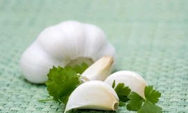 Ảnh minh hoạ: Internet