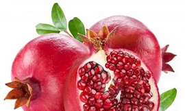 Ảnh minh hoạ: Internet