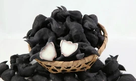 Ảnh minh hoạ: Internet