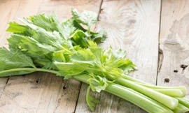 Ảnh minh hoạ: Internet