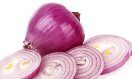 Ảnh minh hoạ: Internet