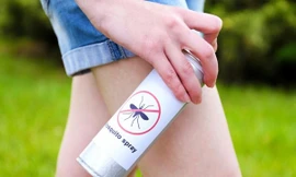 Ảnh minh hoạ: Internet