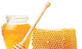 Ảnh minh hoạ: Internet