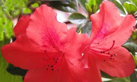 Ảnh minh hoạ: Internet