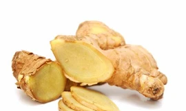 Ảnh minh hoạ: Internet