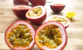 Ảnh minh hoạ: Internet