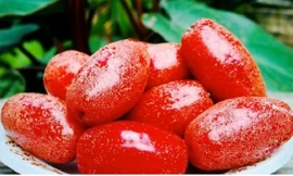 Ảnh minh hoạ: Internet