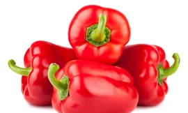 Ảnh minh họa: Internet