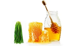 Ảnh minh hoạ: Internet