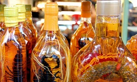 Ảnh minh hoạ: Internet