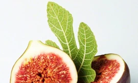 Ảnh minh hoạ: Internet