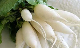 Ảnh minh họa: Internet