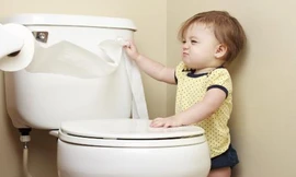 Ảnh minh hoạ: Internet