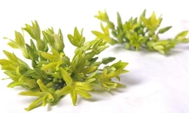 Ảnh minh hoạ: Internet