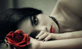 Ảnh minh hoạ: Internet