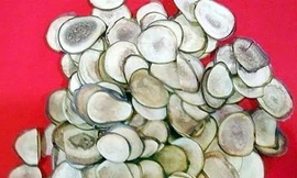 Ảnh minh họa: Internet