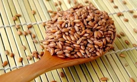 Ảnh minh họa: Internet