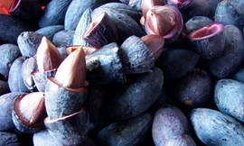 Ảnh minh hoạ: Internet