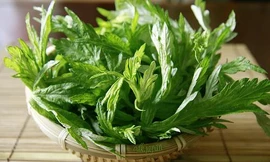 Ảnh minh hoạ: Internet