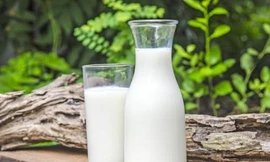 Ảnh minh hoạ: Internet