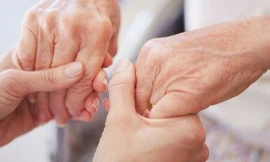 Ảnh minh hoạ: Internet