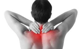 Ảnh minh hoạ: Internet