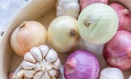 Ảnh minh hoạ: Internet