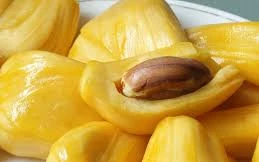 Ảnh minh họa: Internet