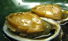 Ảnh minh họa: Internet