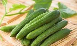 Ảnh minh hoạ: Internet