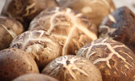 Ảnh minh họa: Internet