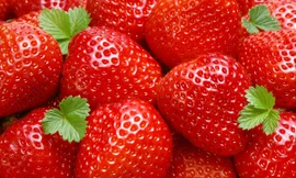 Ảnh minh hoạ: Internet