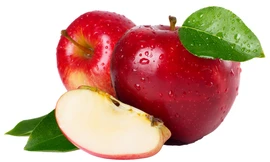 Ảnh minh hoạ: Internet