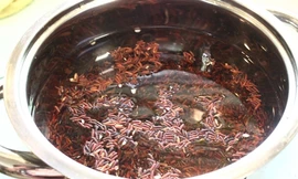 Ảnh minh hoạ: Internet