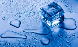 Ảnh minh họa: Internet