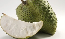 Ảnh minh hoạ: Internet